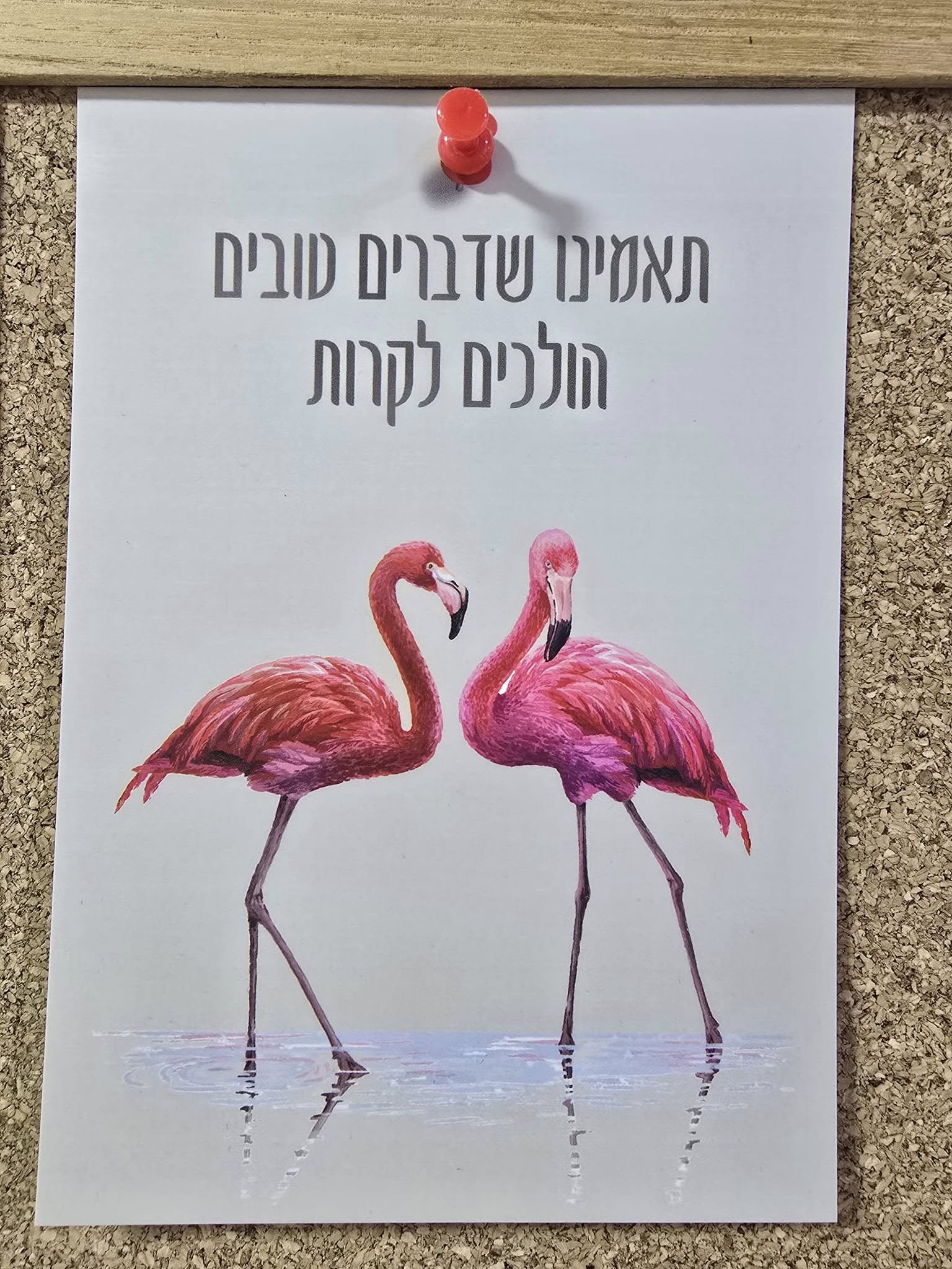 מה בסך הכל ביקשנו